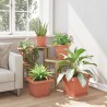 Pot de Fleurs Carré 6 pcs Rouge brique 28,5 x 28,5 x 22 cm 514204514204