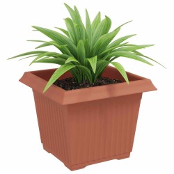Pot de Fleurs Carré 6 pcs Rouge brique 23 x 23 x 17,5 cm 514205514205