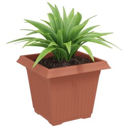 Pot de Fleurs Carré 6 pcs Rouge brique 20 x 20 x 16 cm 514206514206