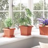 Pot de Fleurs Carré 6 pcs Rouge brique 20 x 20 x 16 cm 514206514206