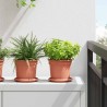 Plateau à fleurs rond 24 pcs Rouge brique Ø 14 x 2 cm Plastique 514210514210