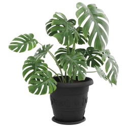 Plateau à fleurs rond 6 pcs Noir Ø 14 x 2 cm Plastique 514211514211