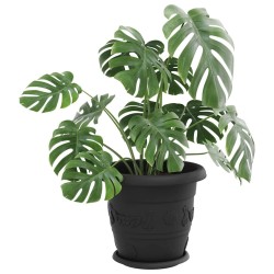 Plateau à fleurs rond 6 pcs Noir Ø 14 x 2 cm Plastique 514212514212