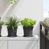 Plateau à fleurs rond 6 pcs Noir Ø 15,5 x 2 cm Plastique 514215514215