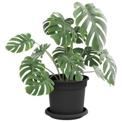 Plateau à fleurs rond 6 pcs Noir Ø 15,5 x 2 cm Plastique 514215514215