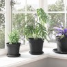 Plateau à fleurs rond 6 pcs Noir Ø 15,5 x 2 cm Plastique 514215514215