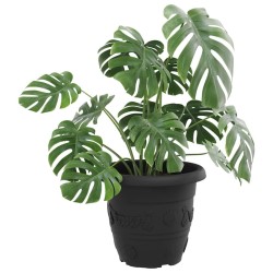 Pot à fleurs rond 24 pcs Noir Ø 34 x 28 cm Plastique 514218514218