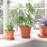 Pot à fleurs rond 6 pcs Rouge brique Ø 19 x 16 cm Plastique 514223514223