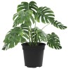 Pot à fleurs rond 6 pcs Noir Ø 17 x 14 cm Plastique 514224514224