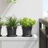 Pot à fleurs rond 6 pcs Noir Ø 15 x 12 cm Plastique 514225514225