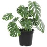 Pot à fleurs rond 6 pcs Noir Ø 15 x 12 cm Plastique 514225514225