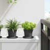 Pot à fleurs rond 6 pcs Noir Ø 12,5 x 10 cm Plastique 514226514226