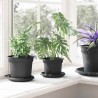 Pot à fleurs rond 6 pcs Noir Ø 12,5 x 10 cm Plastique 514226514226