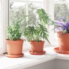Pot à fleurs rond 24 pcs Rouge brique Ø 12,5 x 10 cm Plastique 514228514228
