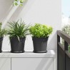 Pot à fleurs rond 6 pcs Noir Ø 19 x 16 cm Plastique 514233514233