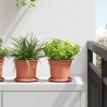 Pot à fleurs rond 24 pcs Rouge brique Ø 15 x 12 cm Plastique 514234514234