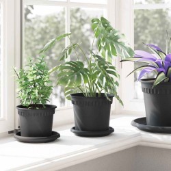 Plateau à fleurs rond 24 pcs Noir Ø 14 x 2 cm Plastique 514240514240