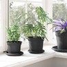 Plateau à fleurs rond 24 pcs Noir Ø 14 x 2 cm Plastique 514240514240