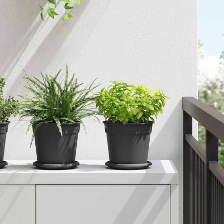 Plateau à fleurs rond 24 pcs Noir Ø 15,5 x 2 cm Plastique 514241514241