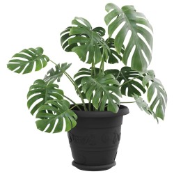 Plateau à fleurs rond 24 pcs Noir Ø 17,5 x 2 cm Plastique 514242514242
