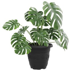 Pot à fleurs rond 24 pcs Noir Ø 22 x 18 cm Plastique 514244514244