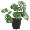 Pot à fleurs rond 24 pcs Noir Ø 22 x 18 cm Plastique 514244514244