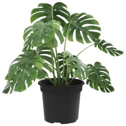 Pot à fleurs rond 24 pcs Noir Ø 12,5 x 10 cm Plastique 514246514246