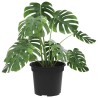 Pot à fleurs rond 24 pcs Noir Ø 12,5 x 10 cm Plastique 514246514246