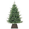 Collier de sapin de Noël Noir 50 x 50 x 25 cm Jacinthe d'eau 514257514257