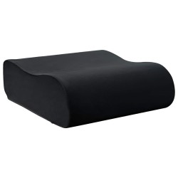 Coussin d’assise Uni Noir 40 x 40 x 13 cm Mousse PU 514299514299