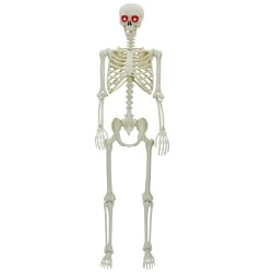 Squelette d'Halloween Blanc 155 x 38.5 cm Plastique 514329514329