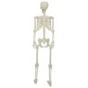 Squelette d'Halloween Blanc 155 x 38.5 cm Plastique 514329514329