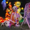 Squelette de décoration Halloween 2 pcs Blanc Polypropylène 514331514331