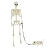 Squelette de décoration Halloween 2 pcs Blanc Polypropylène 514331514331