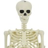 Squelette de décoration Halloween 2 pcs Blanc Polypropylène 514331514331