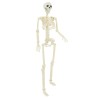 Squelette d'Halloween 2 pcs Blanc 85 cm PVC 514332514332