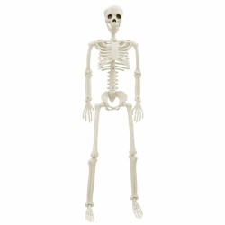 Squelette d'Halloween 2 pcs Blanc 85 cm PVC 514332514332