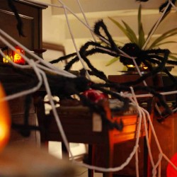 Décoration d'araignée d'Halloween avec toiles 4 pcs Polyester 514340514340