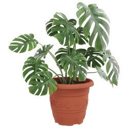 Pot à fleurs rond 6 pcs Rouge brique Ø 30 x 25 cm Plastique 514366514366