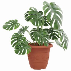 Pot à fleurs rond 6 pcs Rouge brique Ø 22 x 18 cm Plastique 514367514367