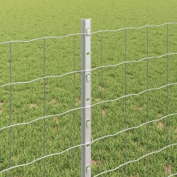 Clôture avec poteau Argenté 0,8 x 10 m Acier 514650514650