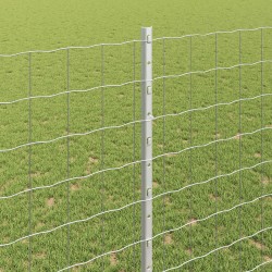 Clôture avec poteau Argenté 1,4 x 10 m Acier 514660514660