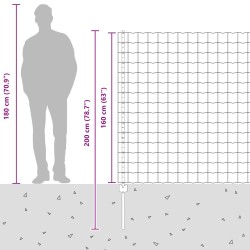 Clôture avec poteau Argenté 1,6 x 10 m Acier 514821514821