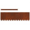 Bordure de Pelouse 30 pcs Rouillé 100 x 0,05 x 30 cm 514906514906
