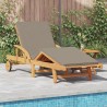 Transat 2 pcs Taupe 200 x 67 x 84 cm Bois d'Acacia Massif 515585515585