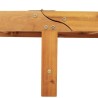 Chaises longues lot de 2 Bois d'acacia solide 515606515606