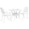 Ensemble de tables de jardin 3 pcs Blanc Aluminium coulé 516041516041