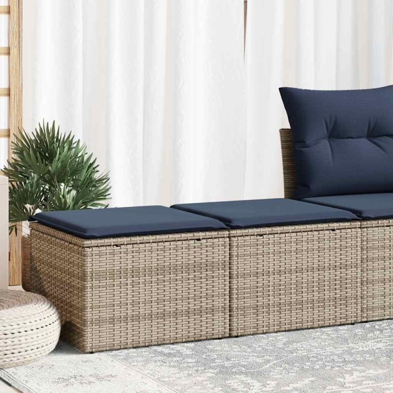 Salon de jardin 2 pcs avec coussins gris résine tressée acacia 516055516055