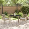 Ensemble de salle à manger pour jardin 3 pcs Beige polyrotin 516083516083