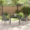 Ensemble de salle à manger pour jardin 3 pcs Gris polyrotin 516085516085